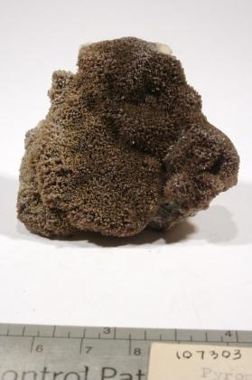 Pyromorphite