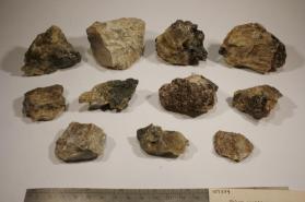 Chlorapatite