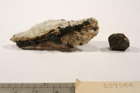 Hibonite