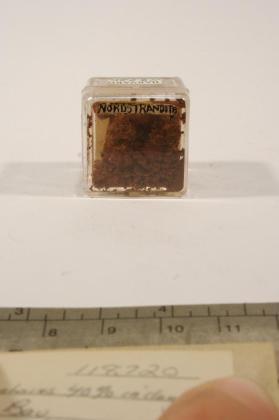 Nordstrandite