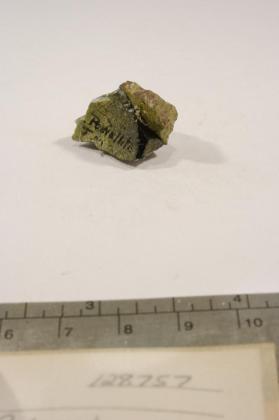 Powellite