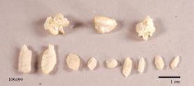Glauberite