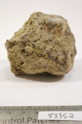 Massicot