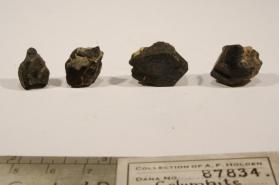 Columbite-(Fe)