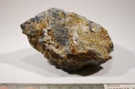 Diaspore