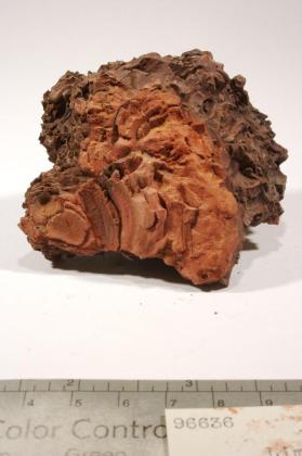 limonite