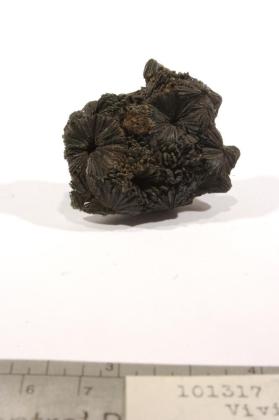 Vivianite