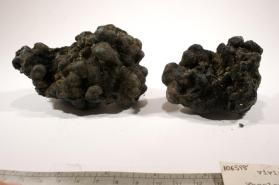 Vivianite