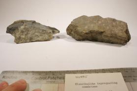 Clausthalite