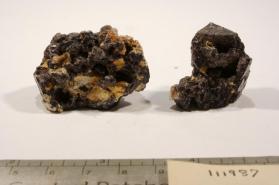 SPINEL