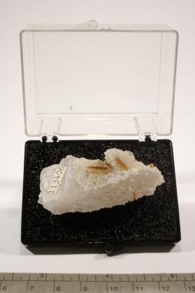 Wardite