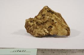 Ammoniojarosite
