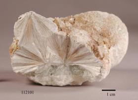 Thaumasite