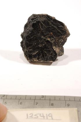Hibonite