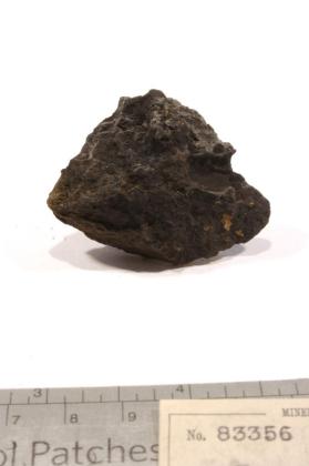 Tenorite
