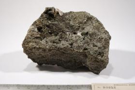 SPINEL