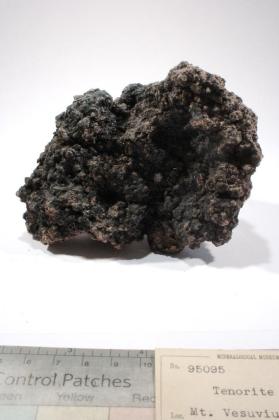 Tenorite