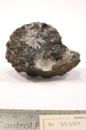 Valentinite