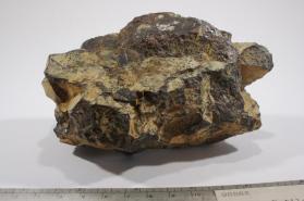RUTILE