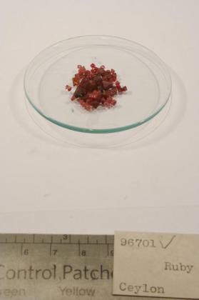 SPINEL