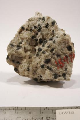 SPINEL