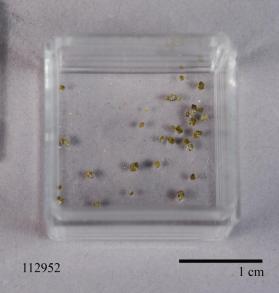 SPINEL