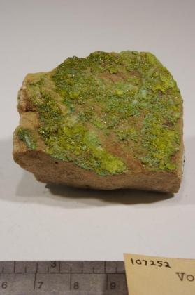 Volborthite