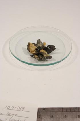 Allanite
