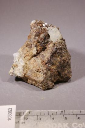 Whitlockite