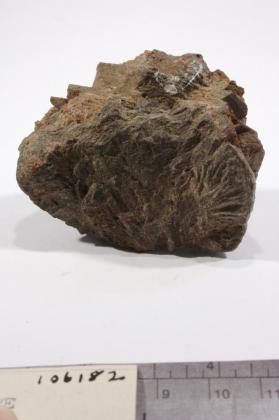 Monazite-(Ce)