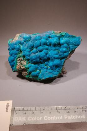 Cornetite