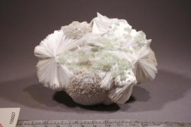 Pectolite with PREHNITE