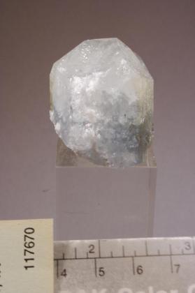 Celestine
