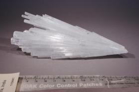 SCOLECITE
