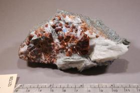 Chondrodite