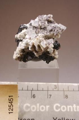 Bertrandite