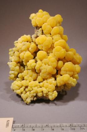 Mimetite