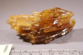 Celestine