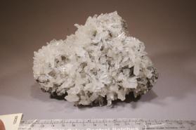 Gypsum