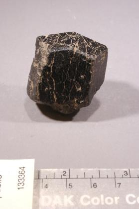 Hornblende