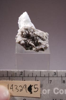 Eudidymite