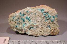 Salesite