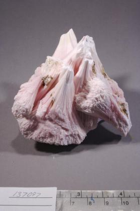 Kutnohorite