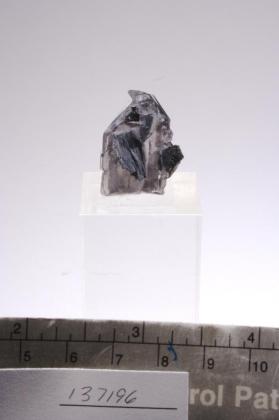 CALCITE