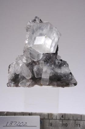 CALCITE