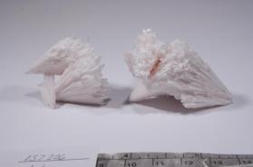 manganocalcite