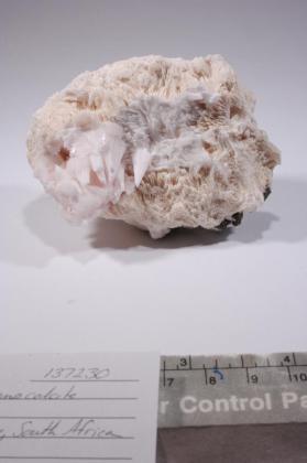 manganocalcite