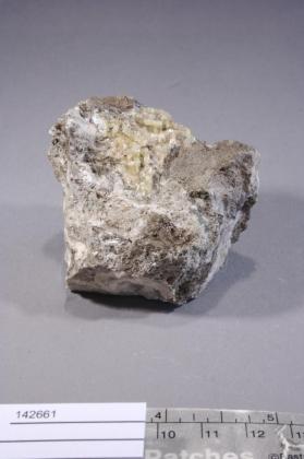 Donnayite-(Y) with Mckelveyite