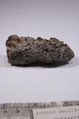 Calaverite