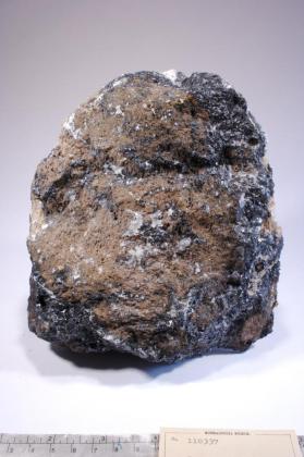 Ramsdellite